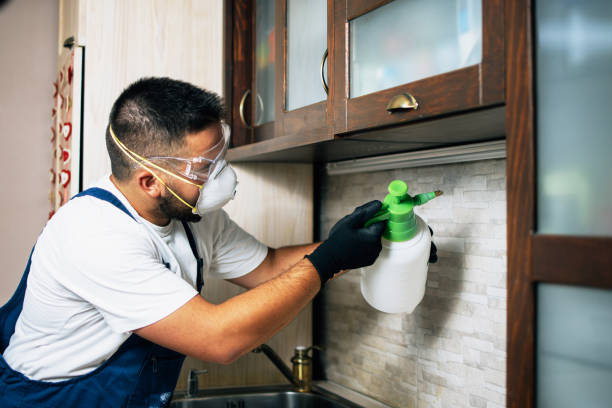 Best Local Pest Control Services  in Poncha Springs, CO
