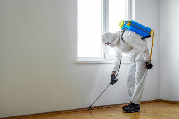 Best Pest Prevention Services  in Poncha Springs, CO