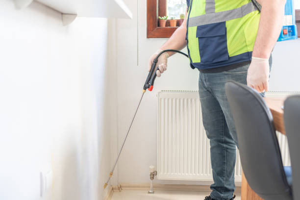 Best Flea Control Services  in Poncha Springs, CO
