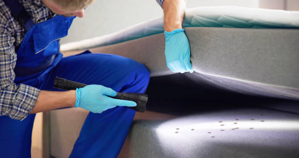 Best Exterminator Services  in Poncha Springs, CO