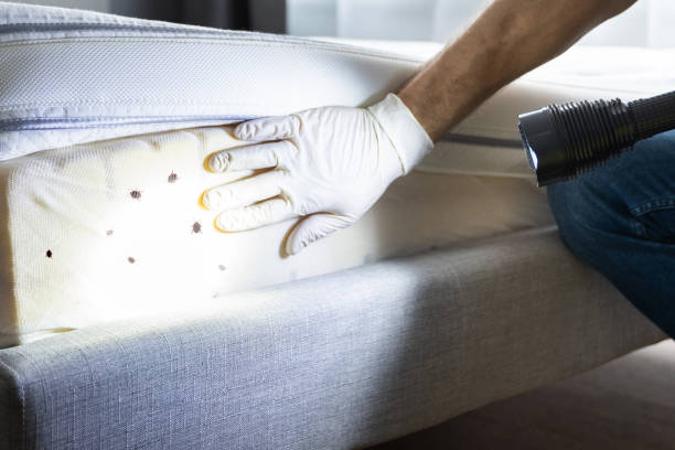 Best Pest Control Near Me in Poncha Springs, CO