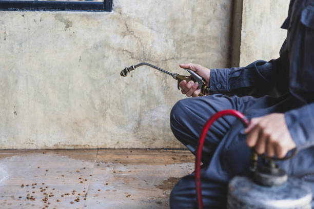 Best Best Pest Control Near Me  in Poncha Springs, CO